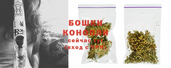 шишки Арсеньев