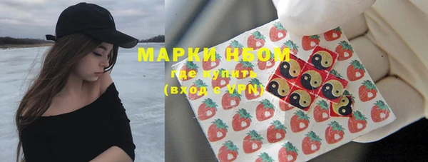 шишки Арсеньев