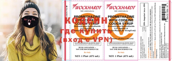 шишки Арсеньев