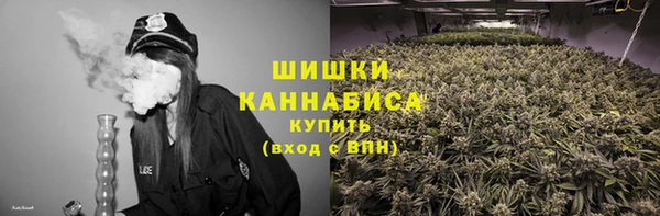 шишки Арсеньев