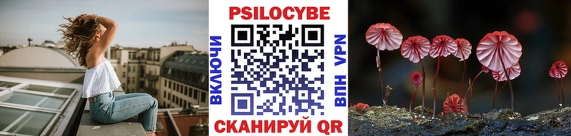 Псилоцибиновые грибы GOLDEN TEACHER  купить наркотики цена  Приозерск 